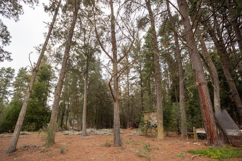 3 Bedroom Property for Sale in Plettenberg Bay Rural Western Cape